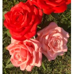 Kurz modelovania cukrových ruží
